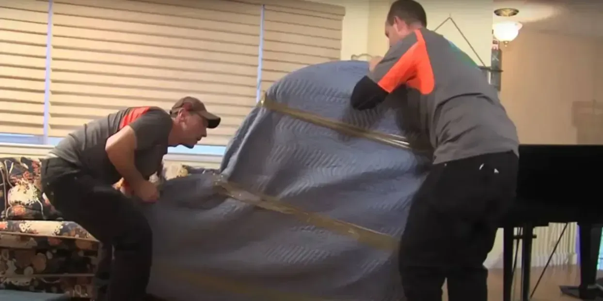 Professional movers carrying boxes